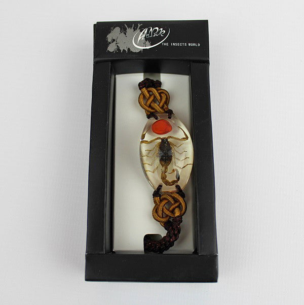 Real Insect 'Scorpion' & Lucky Bean Clear Bracelet