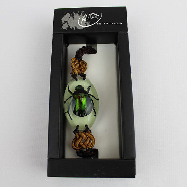 Real Insect 'Rutelian Beetle' Glow Bracelet