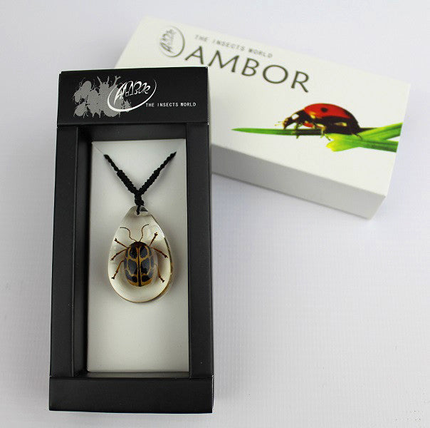 Real Insect 'Crab Beetle' Clear Necklace