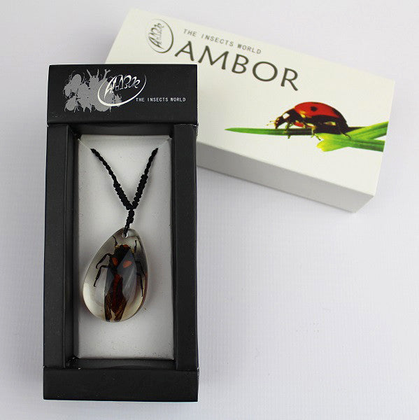 Real Insect 'Red Cicada' Clear Necklace