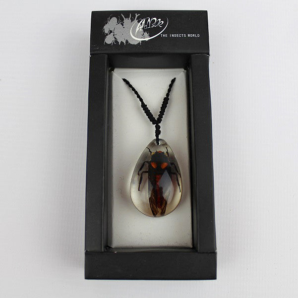 Real Insect 'Red Cicada' Clear Necklace