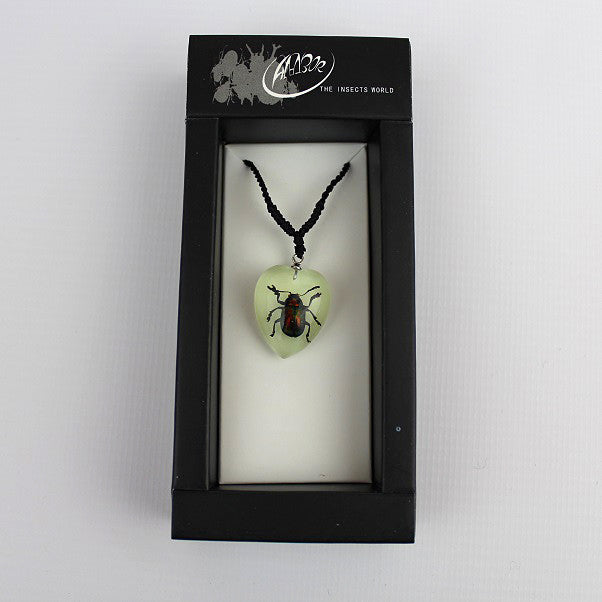 Real Insect 'Shining Leaf Beetle' Glow Love Heart Necklace