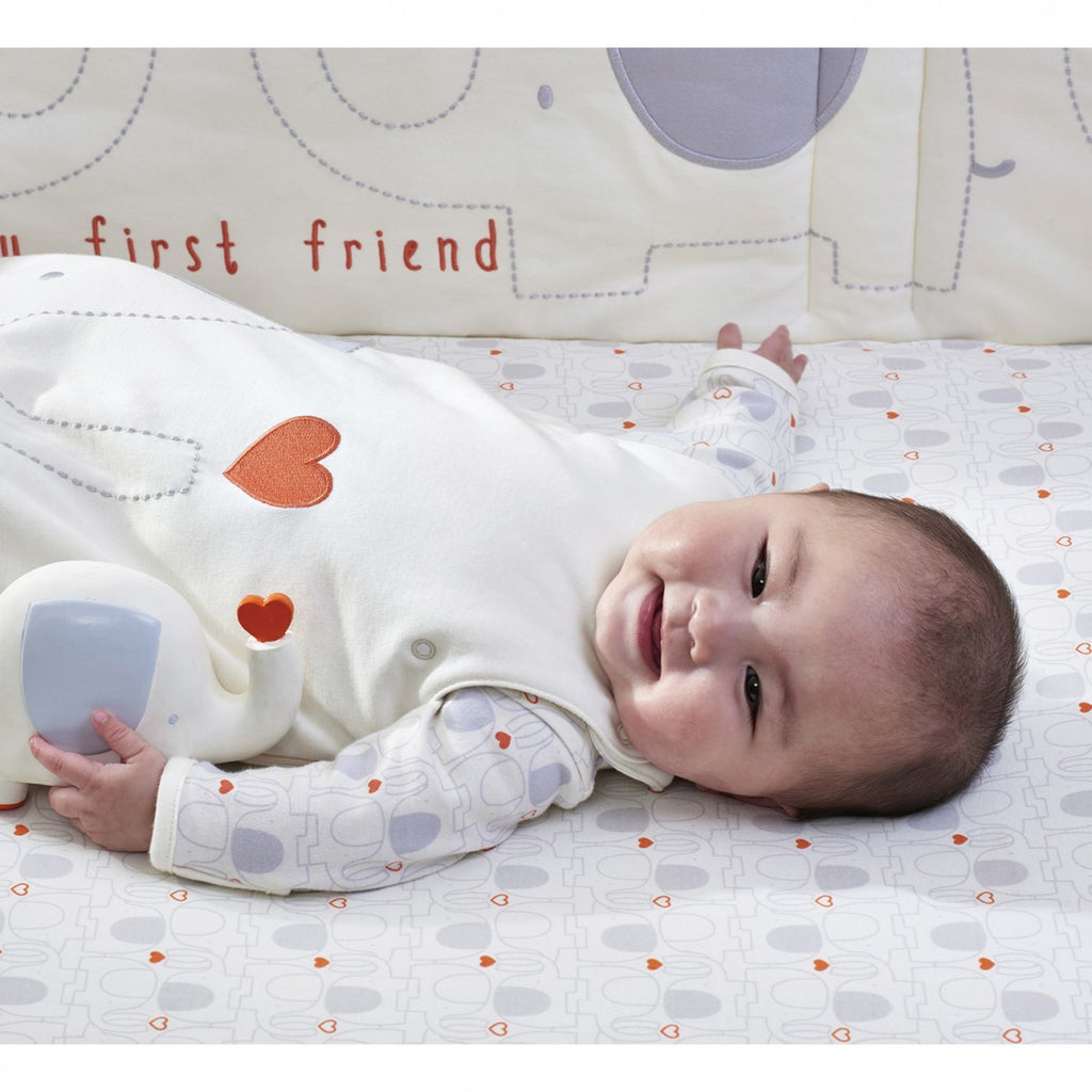 Natures Purest 'My First Friend' Organic Sleeping Bag Embroidered 2.5 Tog