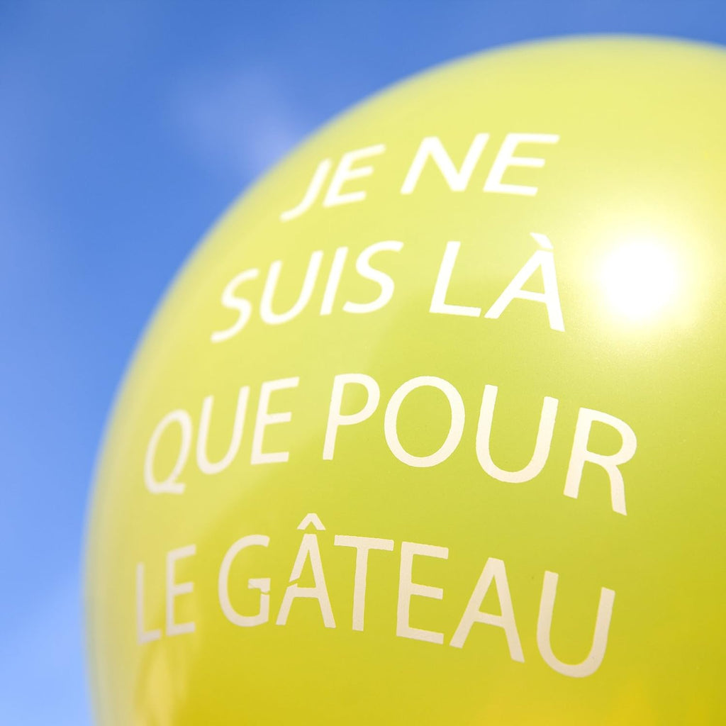 FRENCH Language Balloons for an Abusive Rude and Vulgar Birthday Party FUN JOKES