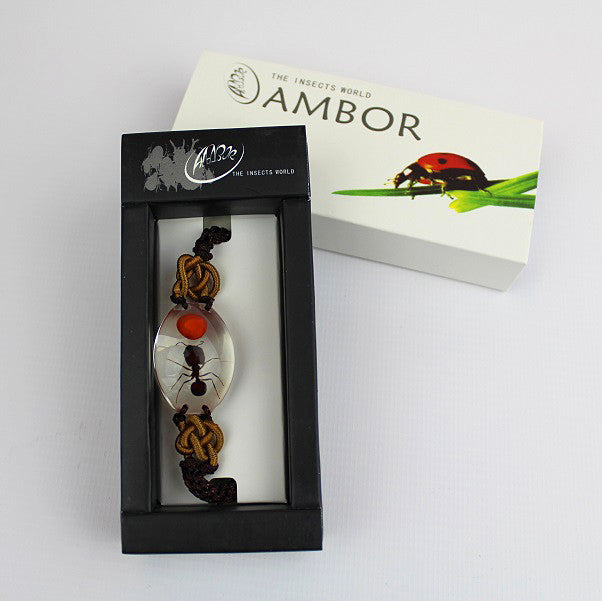 Real Insect 'Ant' & Lucky Bean Clear Bracelet