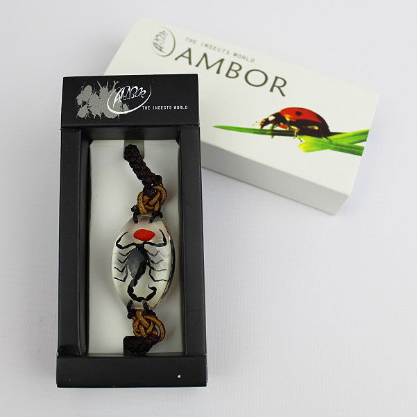 Real Insect 'Black Scorpion' & Lucky Bean Clear Bracelet