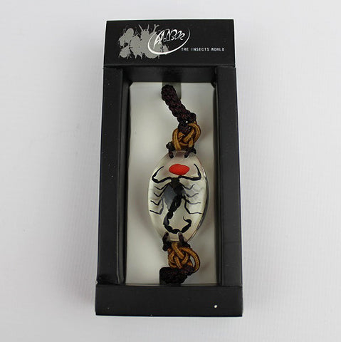 Real Insect 'Black Scorpion' & Lucky Bean Clear Bracelet