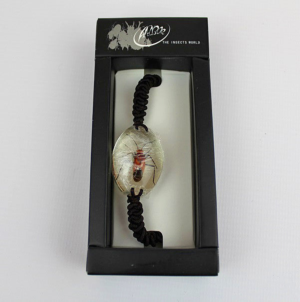 Real Insect 'Red Bug' Clear Bracelet