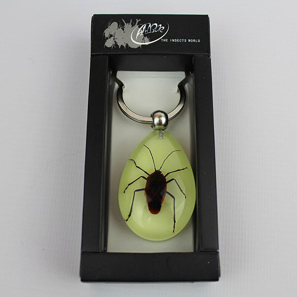 Real Insect 'Milkweed Bug' Glow Keyring