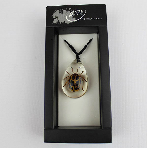 Real Insect 'Crab Beetle' Clear Necklace