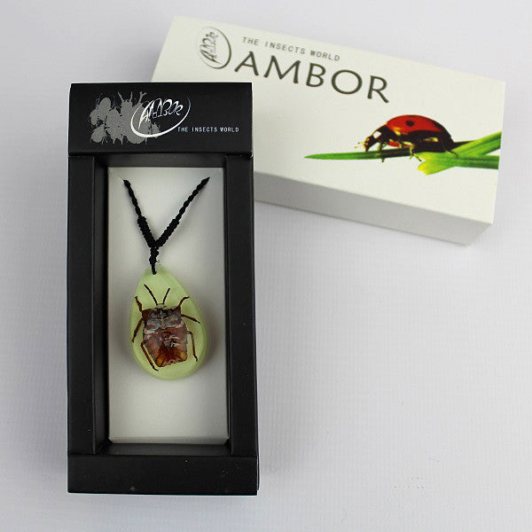 Real Insect 'Lychee Stink Beetle' Glow Necklace