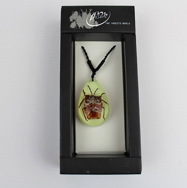 Real Insect 'Lychee Stink Beetle' Glow Necklace