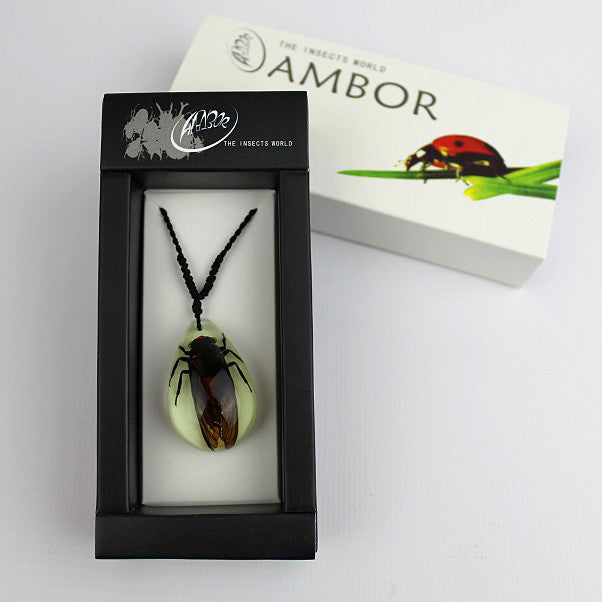 Real Insect 'Red Cicada' Glow Necklace
