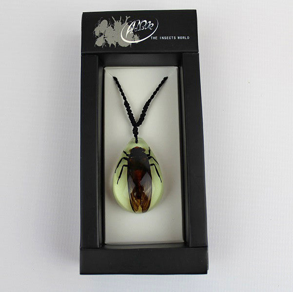 Real Insect 'Red Cicada' Glow Necklace