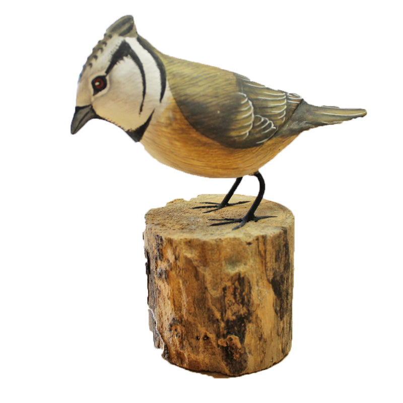 Crested Tit Bird On Wooden Log 12cm