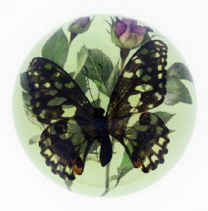 Lemon Swallowtail Butterfly Paperweight