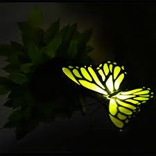 Yellow Butterfly 3D Deco Wall Light